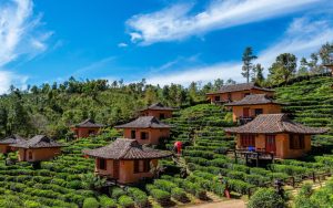 Kearifan Lokal Dan Keindahan Alam yang Menjadi Salah Satu Destinasi Agrowisata