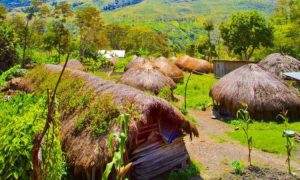 Tempat Wisata Di Papua Menakjubkan Yang Wajib Dikunjungi