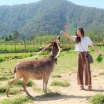 Wisata Di Bandung Terbaru 2023