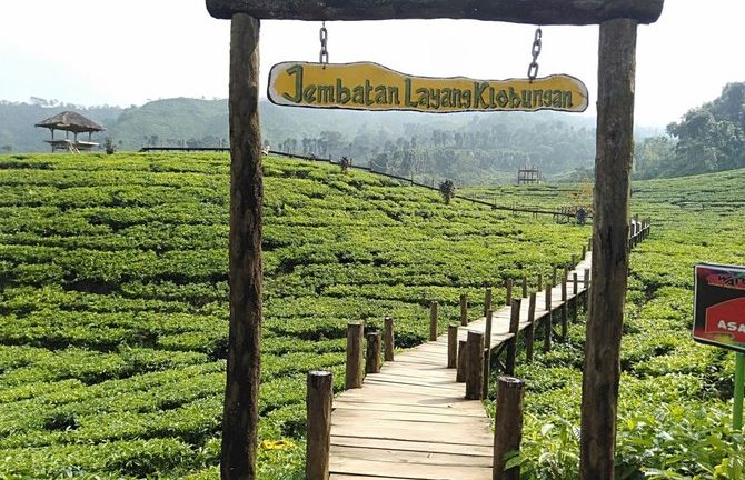Tempat Wisata Menarik dan Wajib Dikunjungi di Jember