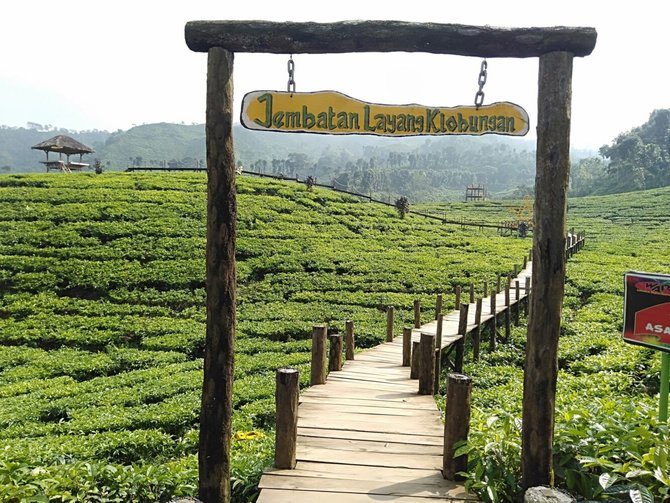 Tempat Wisata Menarik dan Wajib Dikunjungi di Jember