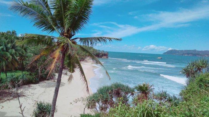 Wisata Pantai Tersembunyi di Pacitan Populer