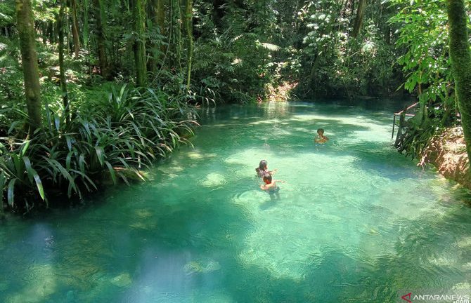 10 Rekomendasi Wisata Alam di Riau untuk Relaksasi