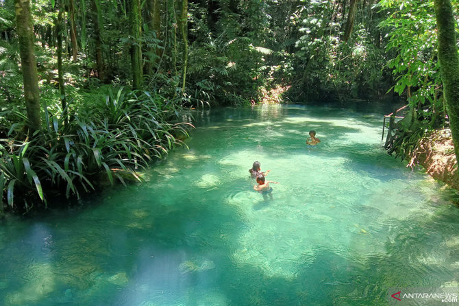 Rekomendasi Wisata Alam di Riau untuk Relaksasi