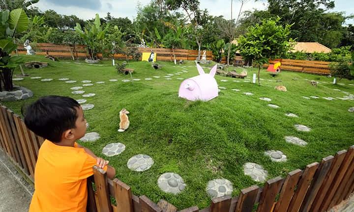 Rekomendasi Tempat Wisata Ramah Anak di Jogja