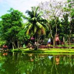 Rekomendasi Wisata Alam di Riau untuk Relaksasi
